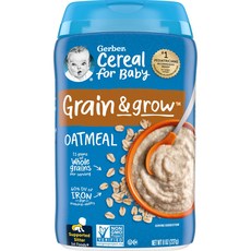 Gerber 오트밀 단일 곡물 시리얼 227g(8oz), Gerber 오트밀 단일 곡물 시리얼 227g8oz, 227g, 1개