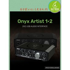 Onyx Artist 1•2 2x2 USB 音訊介面