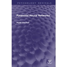 (영문도서)Pyramidal Neural Networks Hardcover, Routledge, English, 9781041287834