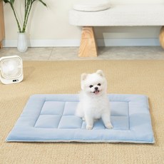 소하임 냉감 쿨링 통세탁 펫 방석, 아이스블루, 1개