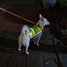 시민경제생활연구원(주) SFr 반사 애견 조끼 L 강아지 고양이 옷, 단품