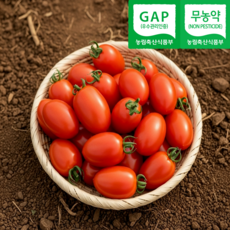 정가네건강농장 GAP 인증 대추방울토마토, 1박스, 1kg (로얄과)