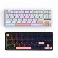 AULA독거미 F87 Pro 유선 라이트 세이야축 한글 가스켓 텐키리스, 갈축