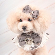 POP PUPPY 寵物蝴蝶結領巾+髮夾組, 1個, 棕色