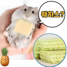 햄스터 파인애플 웨하스 햄스터웨하스간식 햄스터이갈이 햄스터간식, 1세트