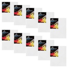 피닉스 캔버스 면천 3호 F 10개, 혼합, 1개