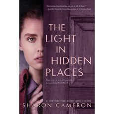 (영문도서) The Light in Hidden Places Hardcover, Scholastic Press