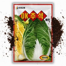 추석 배추씨앗 1000립 바이러스 상품성 우수 가을 추석배추 씨 종자