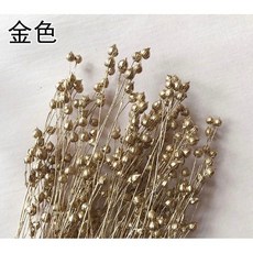 無名精選 富貴豆 乾燥花材 多色不凋花 永生花 浮游花材 拍照道具 迷你捧花束, 金色,小份(如圖二)