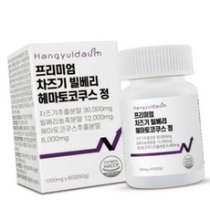 돈스텔 haccp 빌베리 헤마토코쿠스 정 1000mg x 60정, 1개