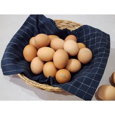 자연의작품 +등급 특란, 1개, 20구