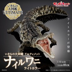 萬代 生物大圖鑑 Ultimate 尼羅鱷 模型 1/12 比例 全長40cm 淺色, 1個