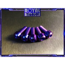 ROYAL 鈦合金螺絲 Honda CB300R碟盤組 64正鈦 CNC鍛造內梅花 內星型螺絲 碟盤螺絲, 1個, 帝王黑,CB300R