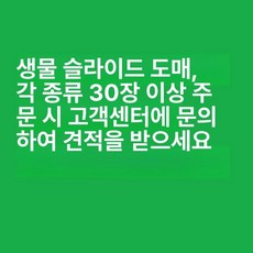 프레파라트 48종 표본 실험도구 식물 현미경 체험, 학생용 표본 문의, 기본 색상
