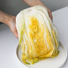 강원도 고랭지 달달 고소 아삭한 절임배추 10kg, 1개, 순차배송