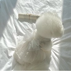 DFMEI 寵物夏季裙子比熊泰迪博美馬爾濟斯衣服小型犬狗狗貓咪婚紗禮服裙, 白色婚紗裙, 1個