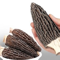 건조 모렐버섯 말린 곰보버섯 JIKTEM WW5103116, AAA급 9cm이상  100g