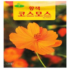 영농사 황색 코스모스 씨앗 150립 황화 코스모스씨, 10개