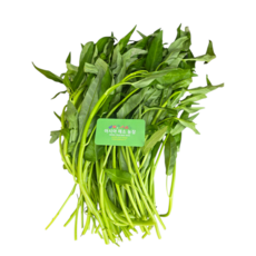 공심채 1kg /모닝글로리/rau muong / 금요일 발송 토요일 도착., 1개