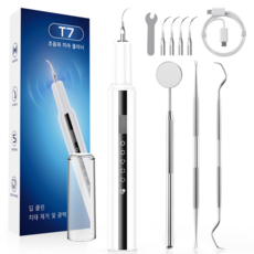 스마트 진동 구강 클리너 LED 라이트 휴대용 구강세정기, 화이트