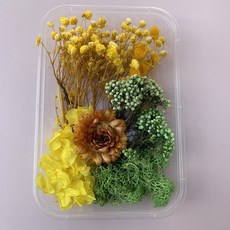 台灣出貨 裝飾 幹花束 花束干花材料包永生干花A款畫團扇賀卡手工干花小花束天然真花滴膠, 30號精致干花/盒
