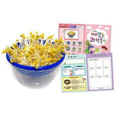 식물 콩나물 키우기 관찰지 만들기 키드 학교 5개 어린이 방과후 단체수업 센터 실습