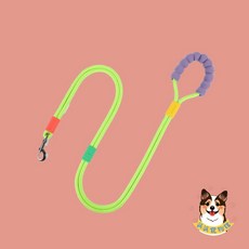 解放雙手雙排漸變牽繩 尼龍反光寵物牽繩 狗牽繩 遛狗繩 大型犬防暴衝牽引繩 狗用品, 單色綠, 1個