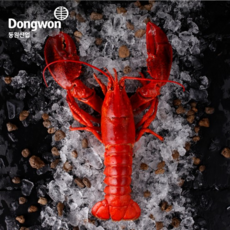 캐나다 홀 자숙 랍스터 400 - 450g 냉동 바닷가재 버터구이 용, 1미, 1개, 400~450g