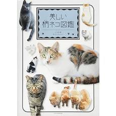고양이 책 도서 아름다운 무늬 고양이 도감 일본 직배송