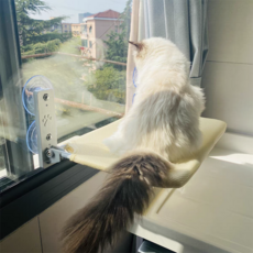 WonRay 고양이 윈도우 해먹 침대, 미색 통기성 원단, 1개