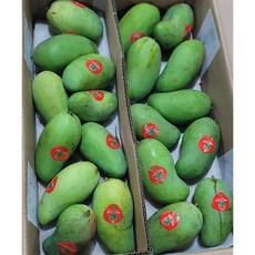 [비엠케이] 베트남 그린망고, 1박스, 5kg 내외 (베이비)