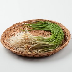 국내산 봄나물 산나물 알싸하고 향긋한 달래 200g 500g 1kg