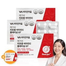 비타민마을 메가씨 리포좀 플래티넘 07 비타민C 30g, 4개, 30정