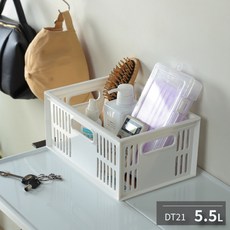 聯府 萬用籃 收納籃 台灣製 DT17 DT21 DT25 DT31 DT38 DT41 DT48 大總理, 1個, DT21(一入)-超取上限3個