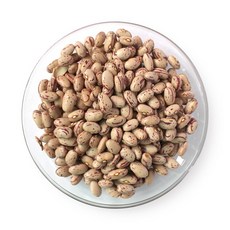 호랑이콩 매화 강낭콩, 1개