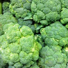 쿡네이처 세계 10대 푸드 국내산 싱싱한 브로콜리 2kg