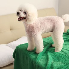 벨보아 10mm 털원단 키링 인형만들기 포토카드 극세사 책상덮개 벨보아 열풍원단 22컬러 바느질감, 17 딥그린, 1개