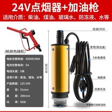 電動抽油泵 12V/24V直流煤油柴油通用抽水泵 小型抽油神器加油槍, 1個, 24v點煙器油泵+加油槍