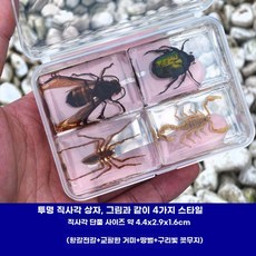 생물 수집용 관찰 모형 교육용 장식 물고기 곤충, B. 4종세트 2