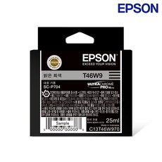 엡손 T46W9 밝은회색 라이트라이트블랙 EPSON SC-P704, Light Gray(T46W9), 1개