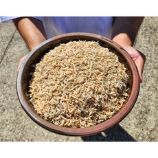 밥 새우, 1.5kg, 1박스