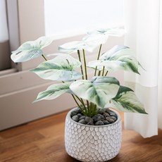 [플라워트리] 몬스테라 조화 녹색 식물 12대 화이트 마블 부쉬 28cm 조경 인테리어 장식 소품 인조 잎사귀 나뭇잎 가드닝, 색상:화이트