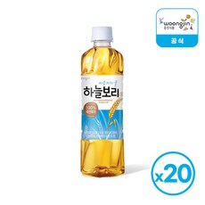 웅진 하늘보리 500ml 20개, 1박스