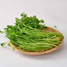 [한끼담다] 국내산 손질 청도 미나리, 1박스, 400g