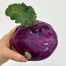 [제주 직송] 청정 제주 고당도 콜라비 로얄 / 특품 농장직송, 1개, 3kg
