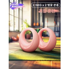 매력상점 캐틀벨 간편한운동용품 크로스핏 홈트, 2.5Kgx2 벚꽃 핑크 이중 껍질 특허 공법 3합1, 1개