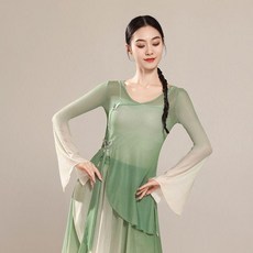 古典舞蹈服 飄逸漸變紗衣 中國舞練功服 演出服裝女