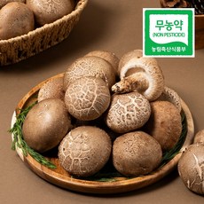 광헌팜 생표고버섯 1kg/2kg/4kg, 표고버섯 가정용 2kg, 1개