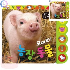 MP 소리나는촉감사진책 모여라 농장동물 유아오디오북