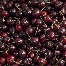 체리 고당도 생 체리 칠레산 특대과 500g